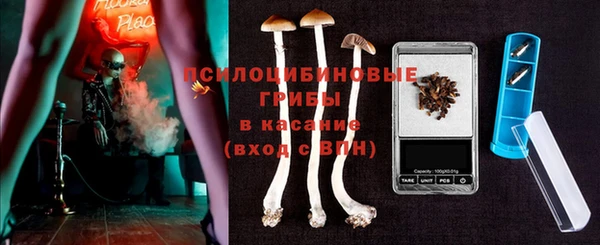 2c-b Козловка