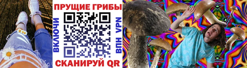 Псилоцибиновые грибы Magic Shrooms Вяземский