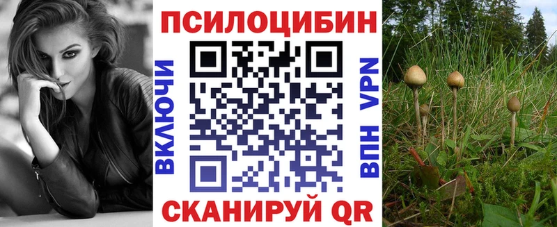 Галлюциногенные грибы Cubensis наркотики Вяземский